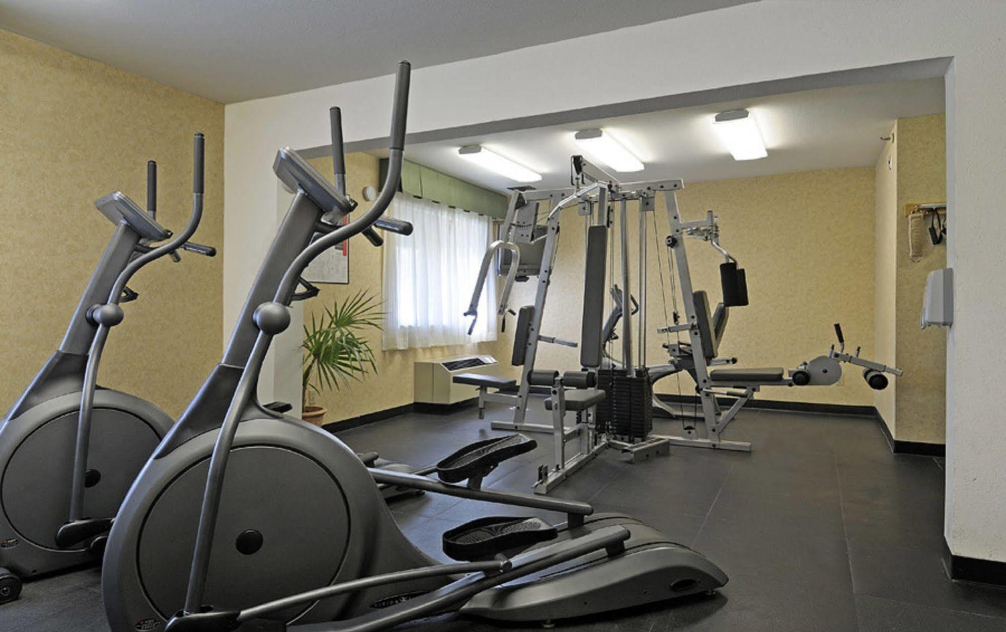 Maple Tree Hotel 3*