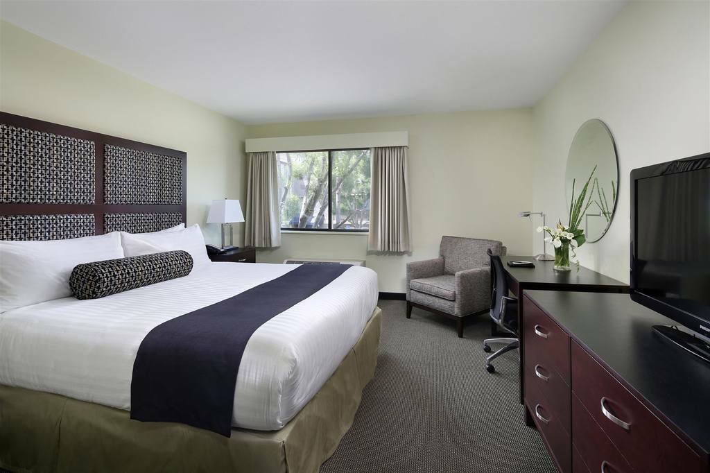 Maple Tree Hotel 3*
