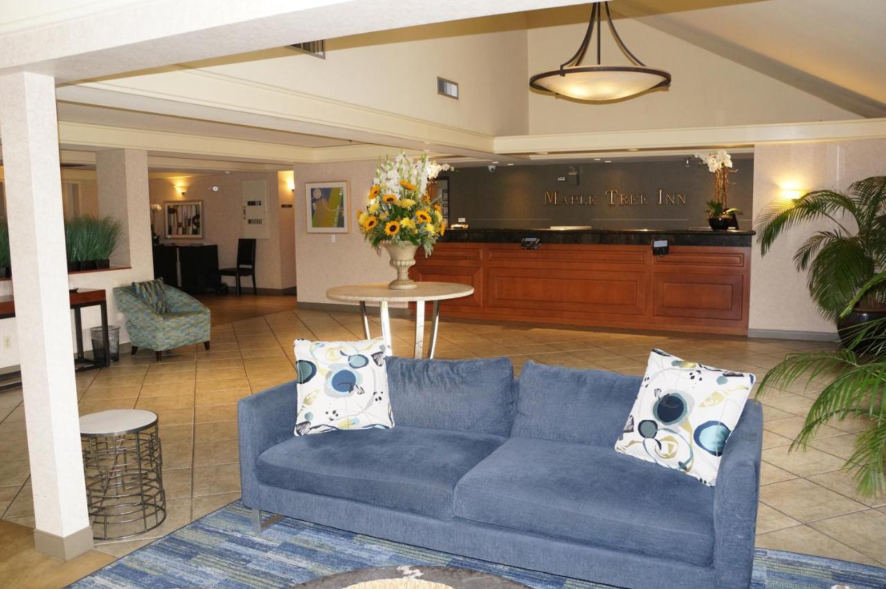 Maple Tree Hotel